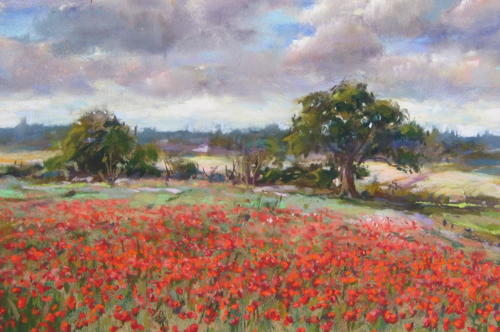 Poppies on Winston Hill