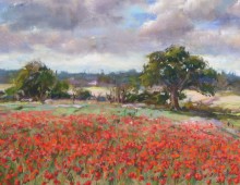 Poppies on Winston Hill